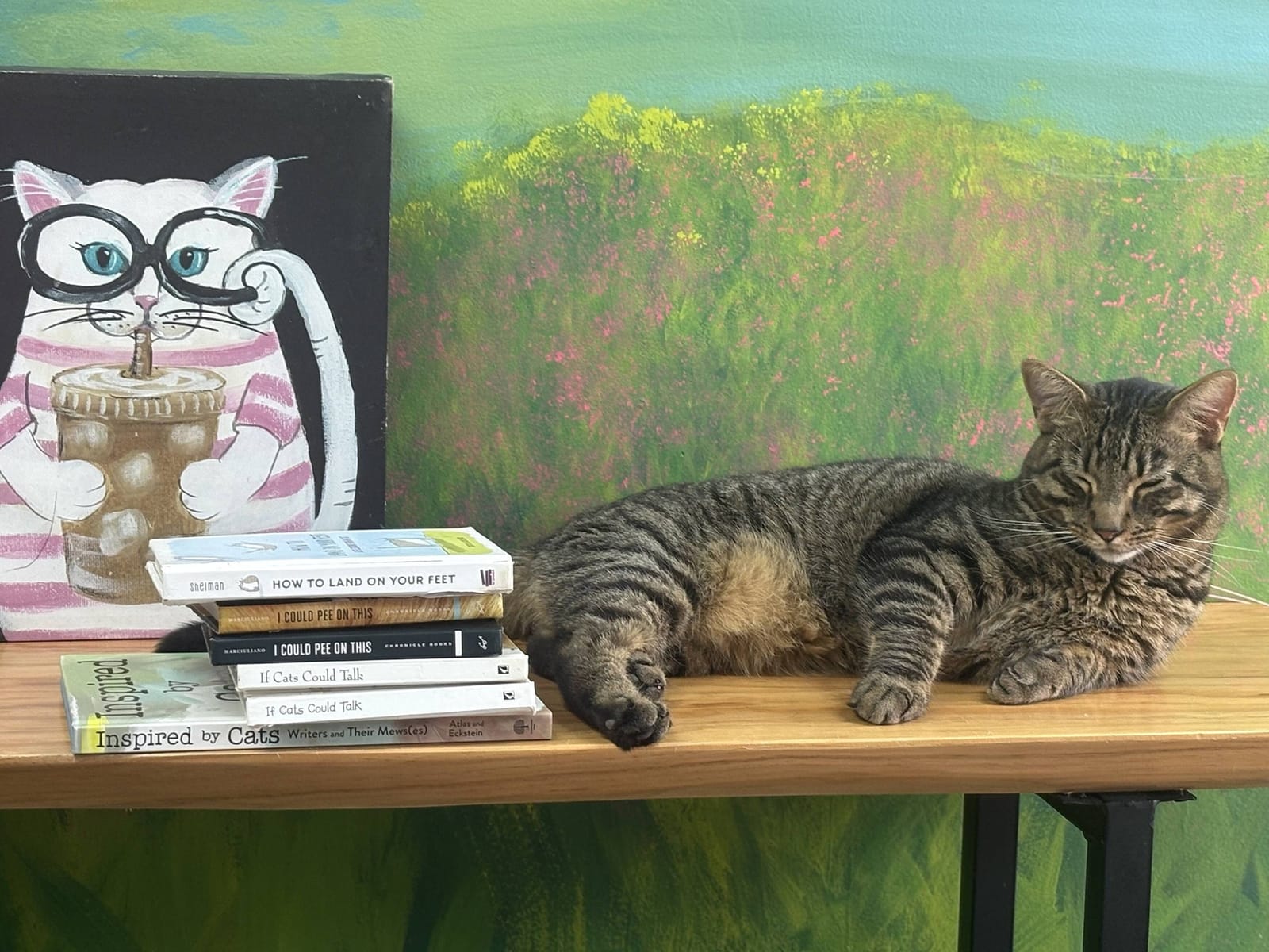Beans Cat Cafe photo 3