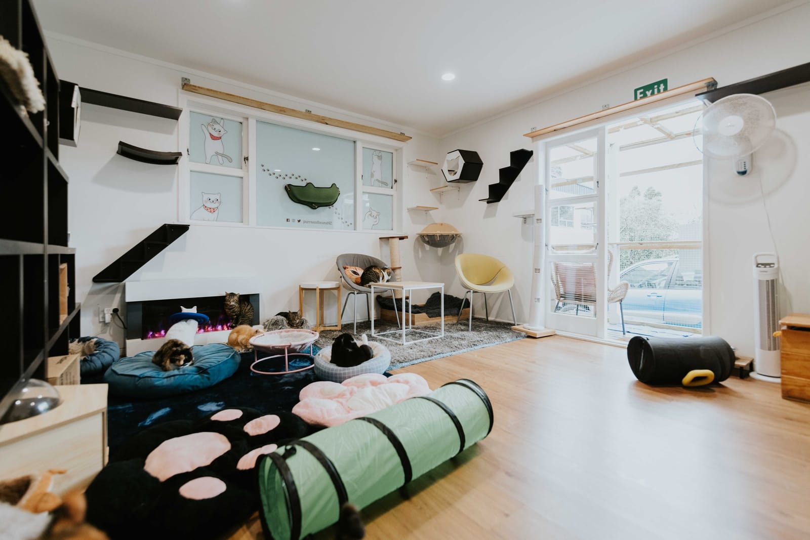Purrs & Beans Cat Haven and Café