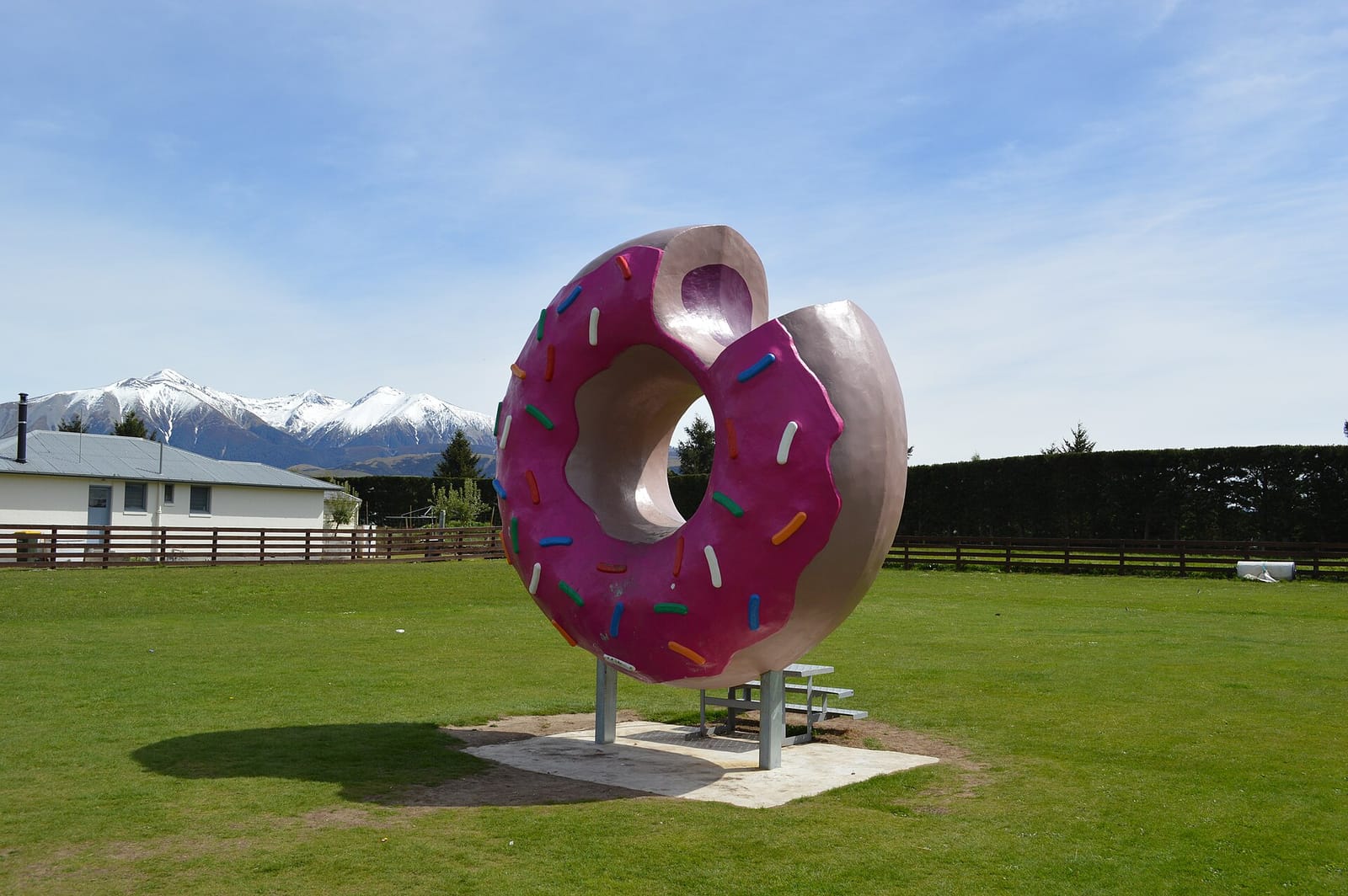 Taste of Kiwi photo 2