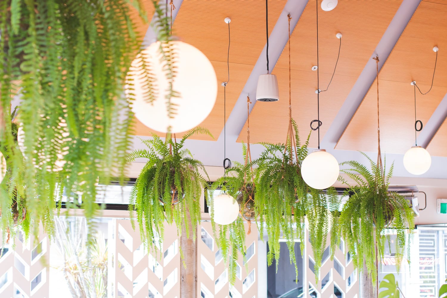 Monica's Eatery photo 5