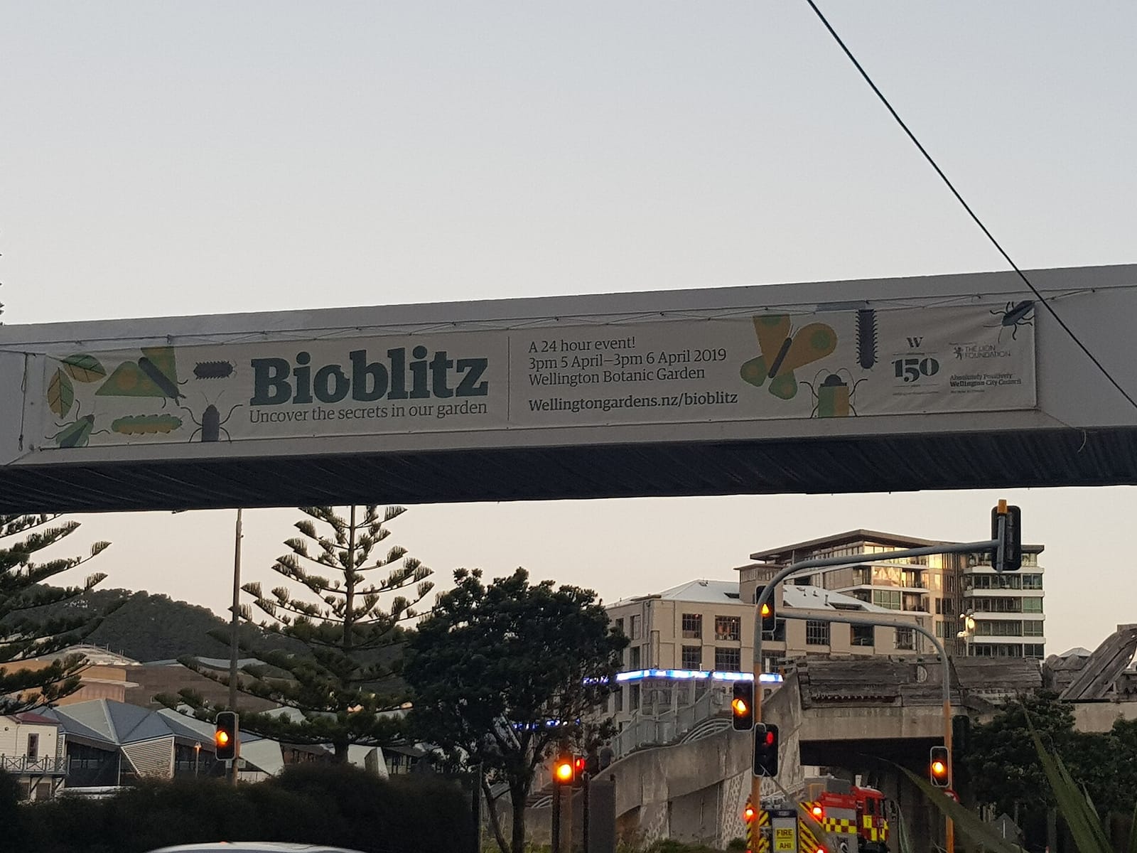 Legato Espresso Cafe photo 5