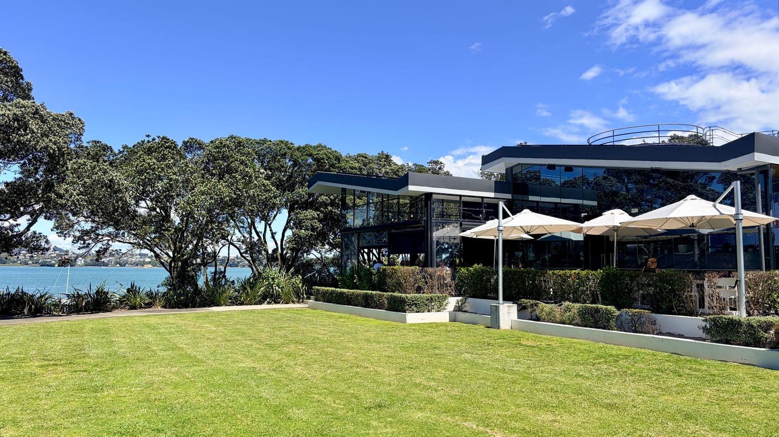 Sugar at Chelsea Bay photo 8