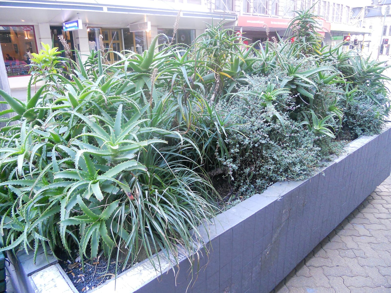Urban on Manners photo 3