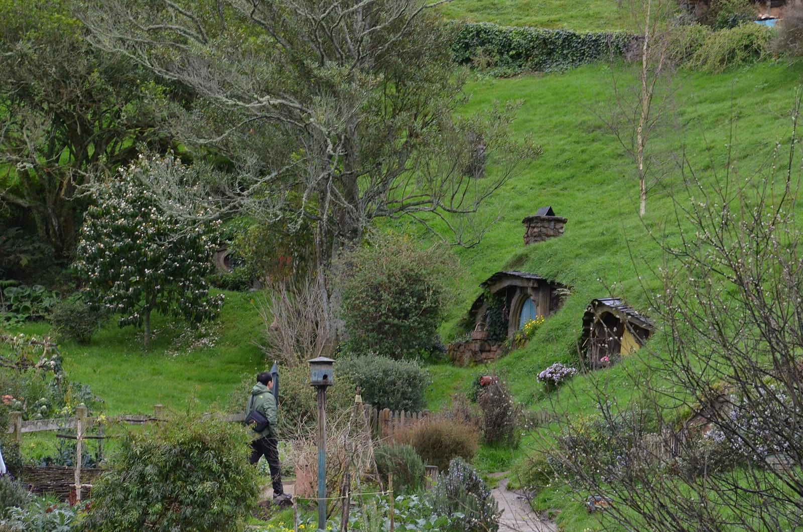 The Shire's Rest Cafe photo 4