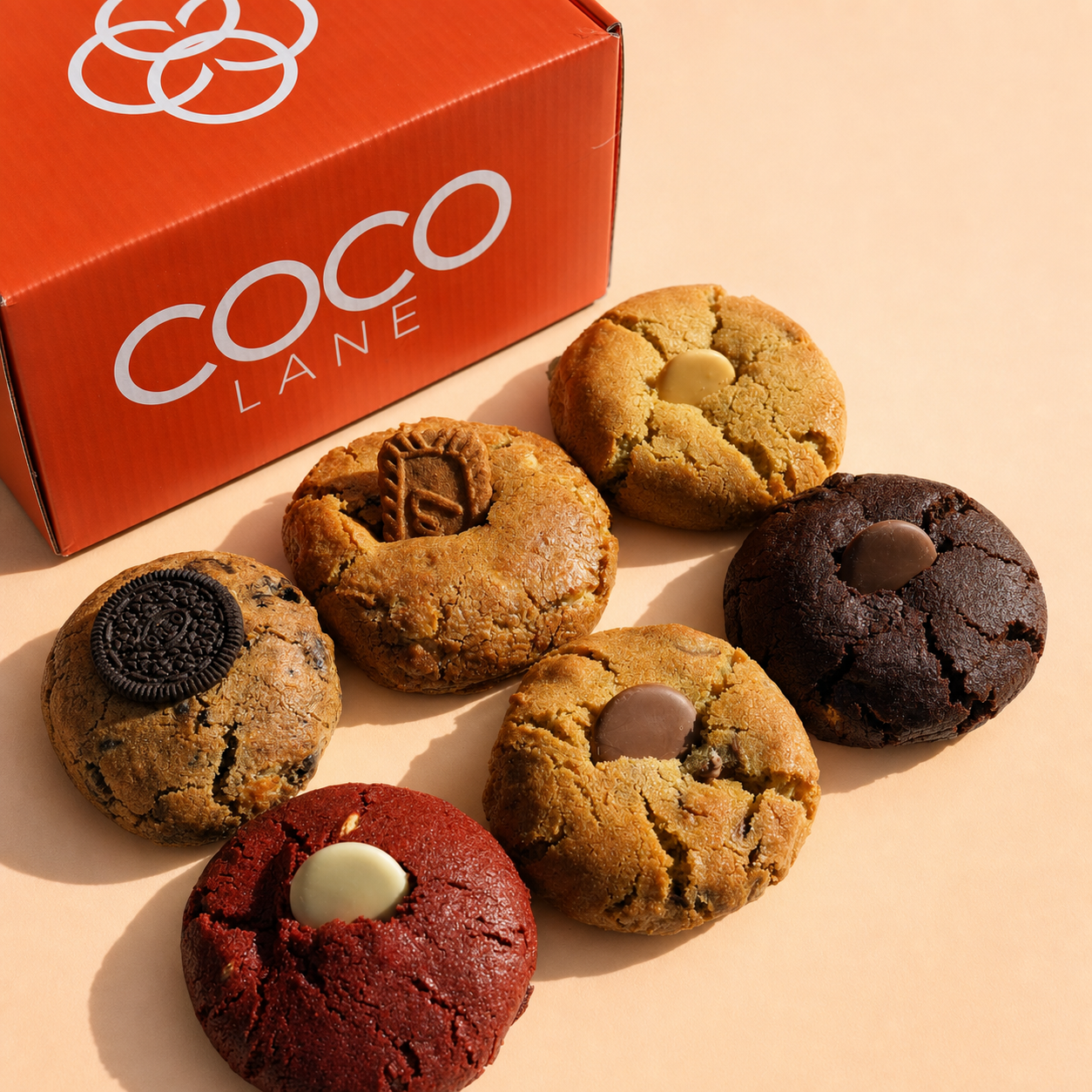 Coco Lane photo 4