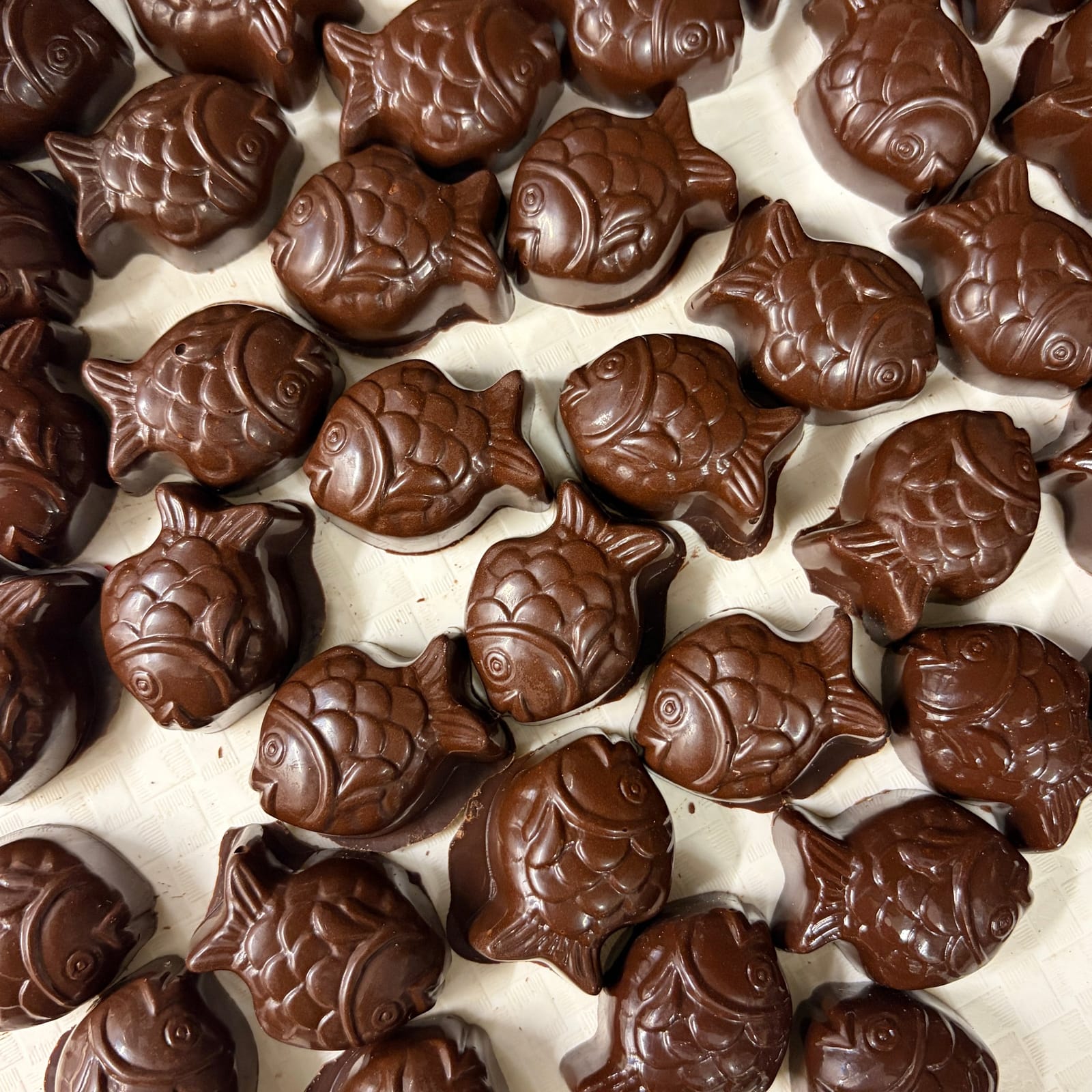 Seriously Good Chocolate Company