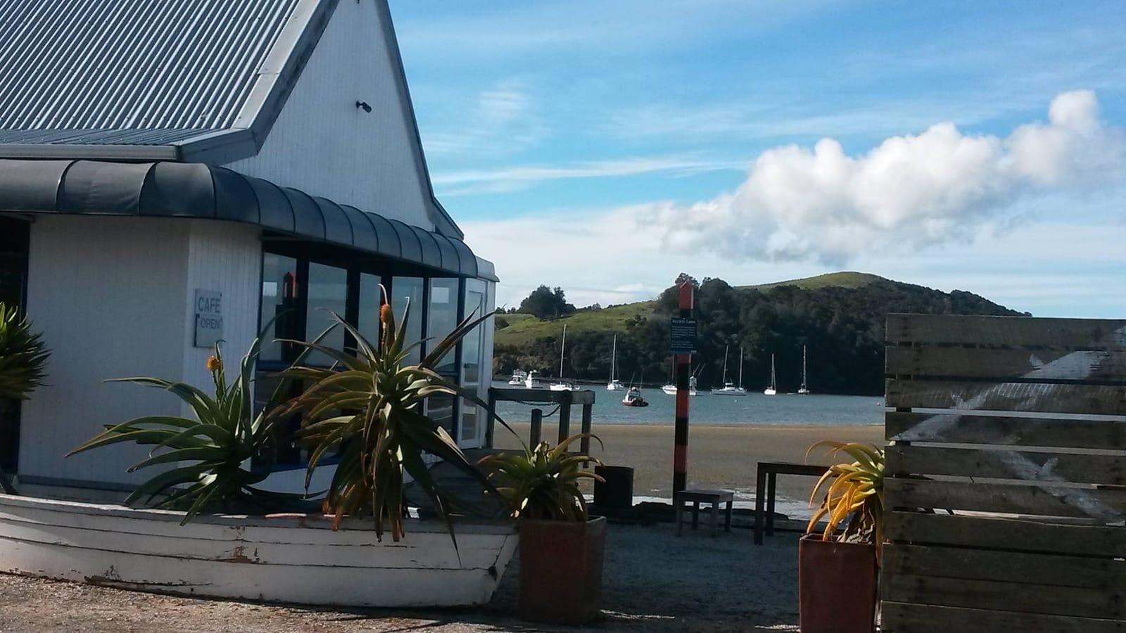 Café Sandspit photo 8