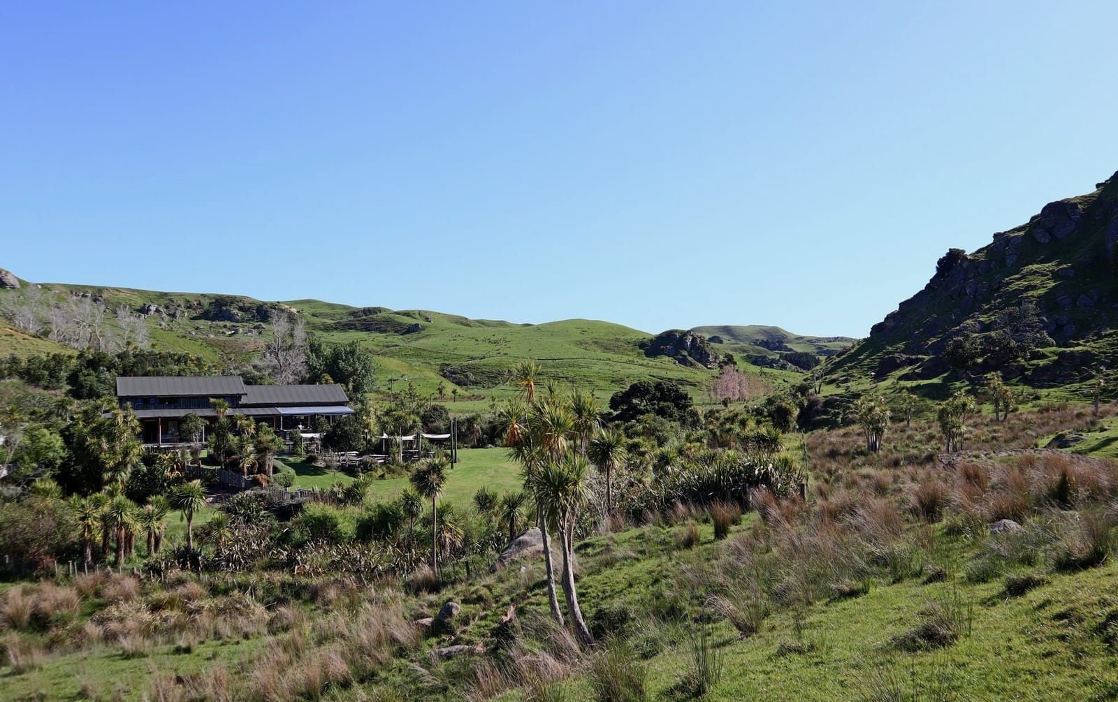 Nikau Cave & Café photo 4
