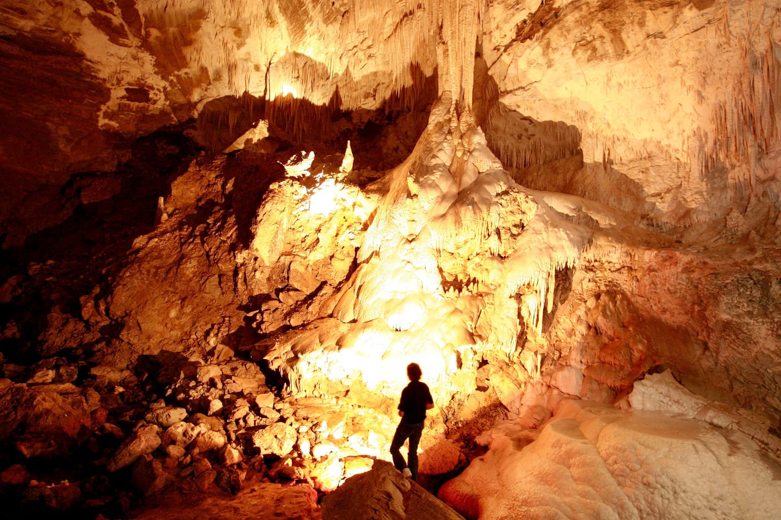 Nikau Cave & Café photo 7