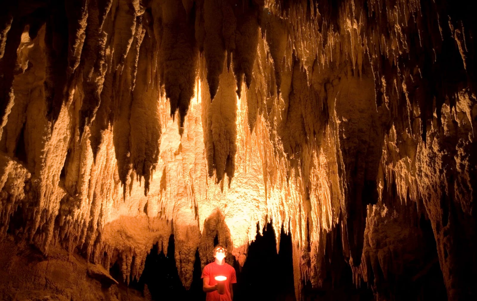 Nikau Cave & Café photo 5