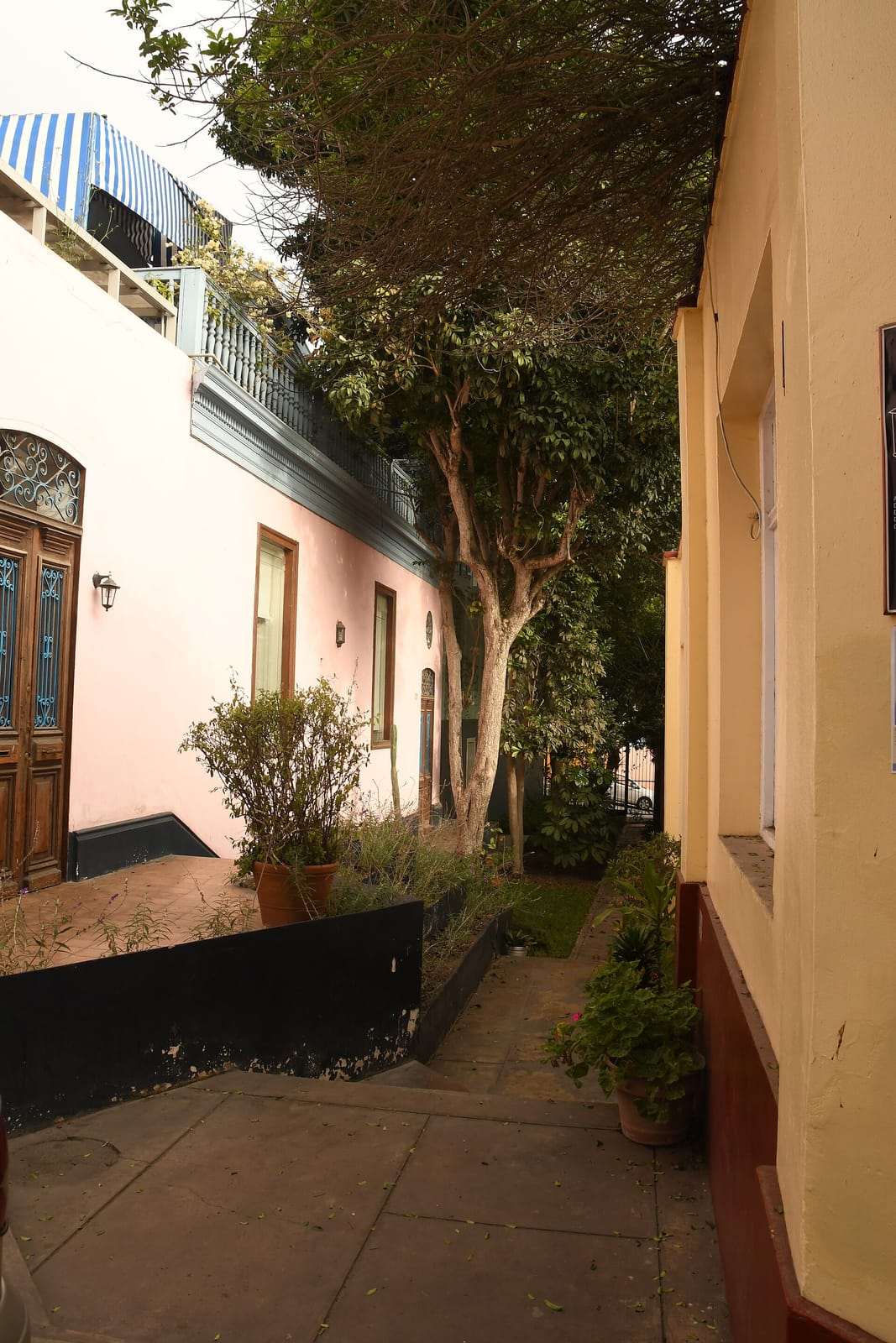 Las Vecinas photo 2