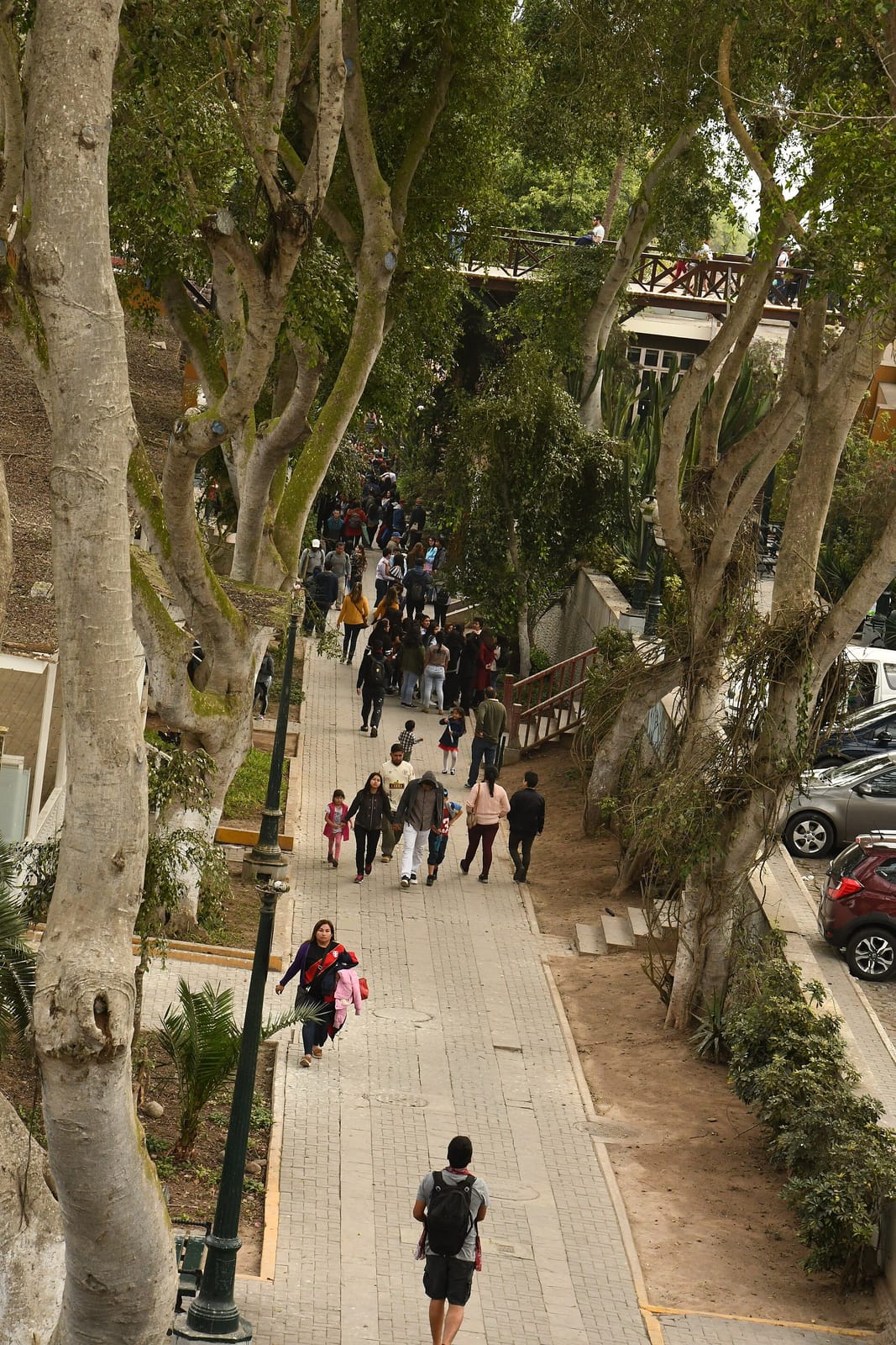 Las Vecinas