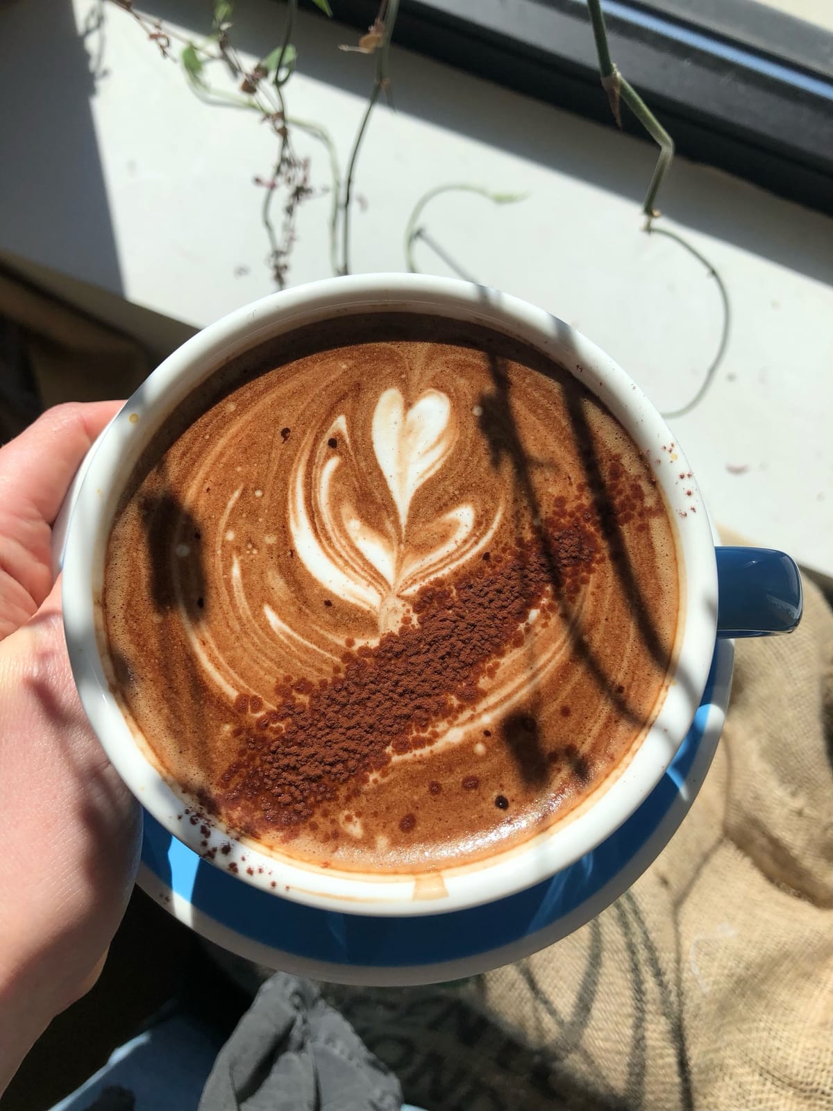 Dry Fly Coffee photo 3