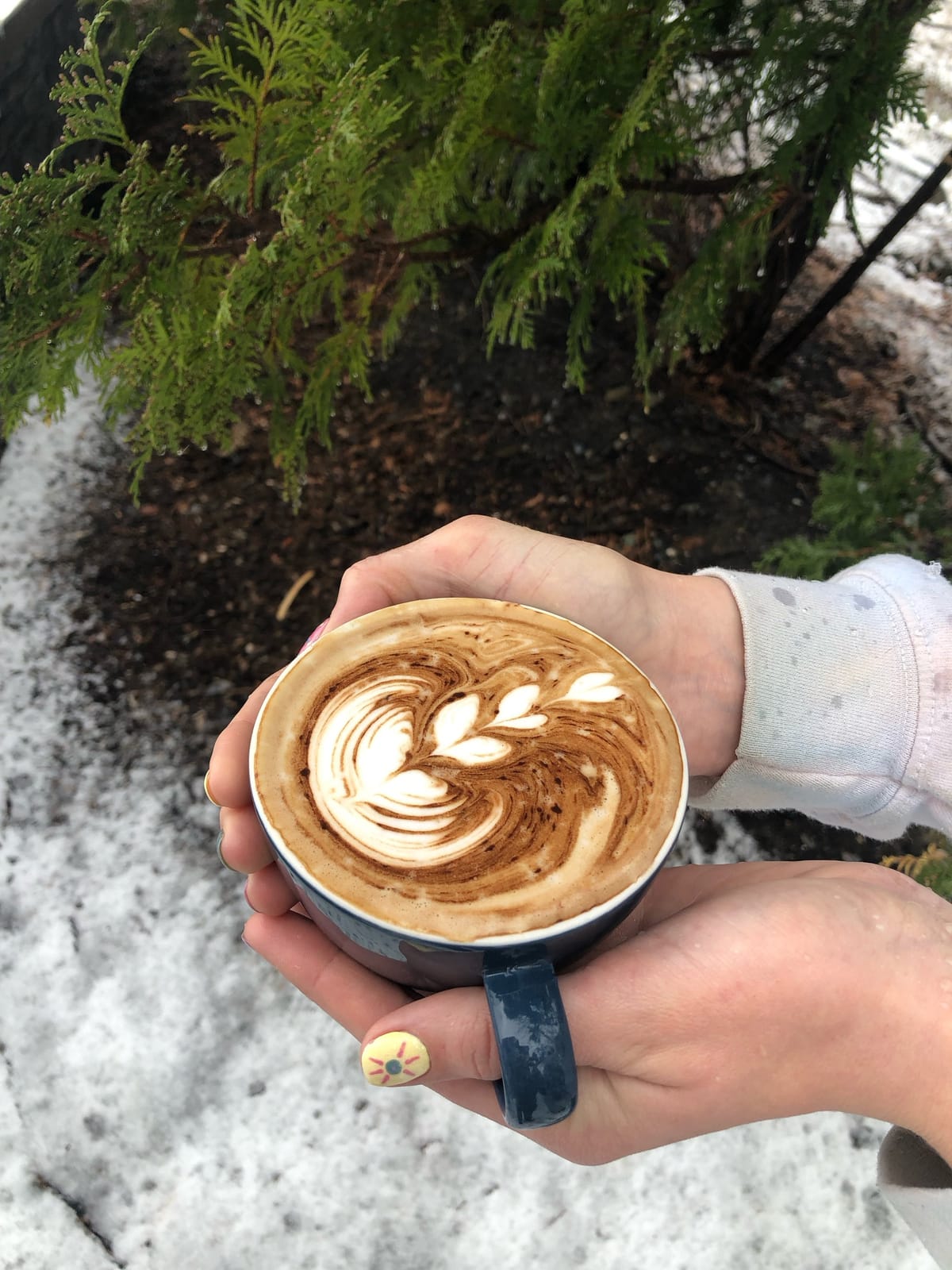 Dry Fly Coffee photo 5