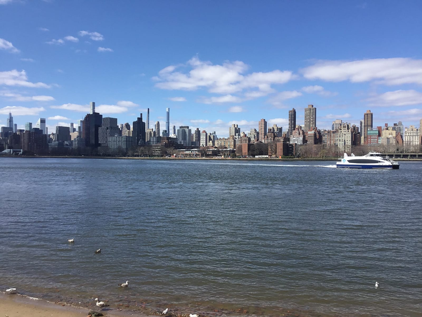 DAGNY Astoria photo 2