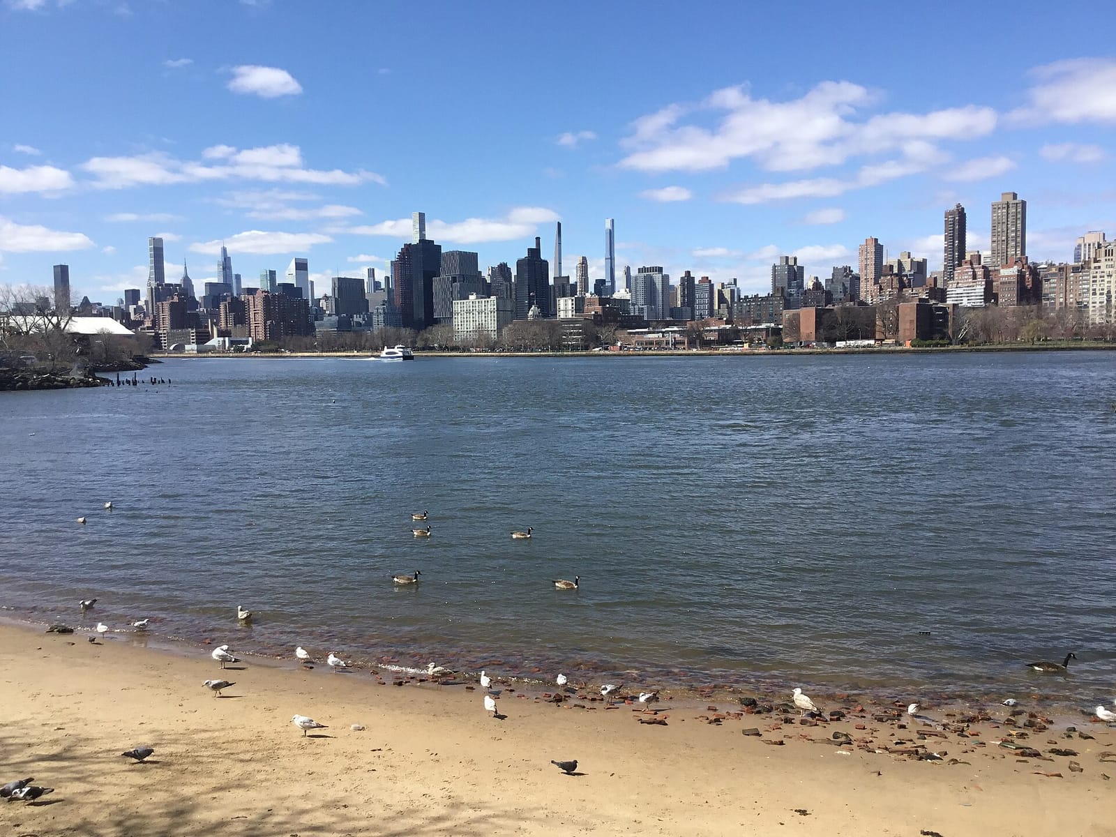 DAGNY Astoria photo 3