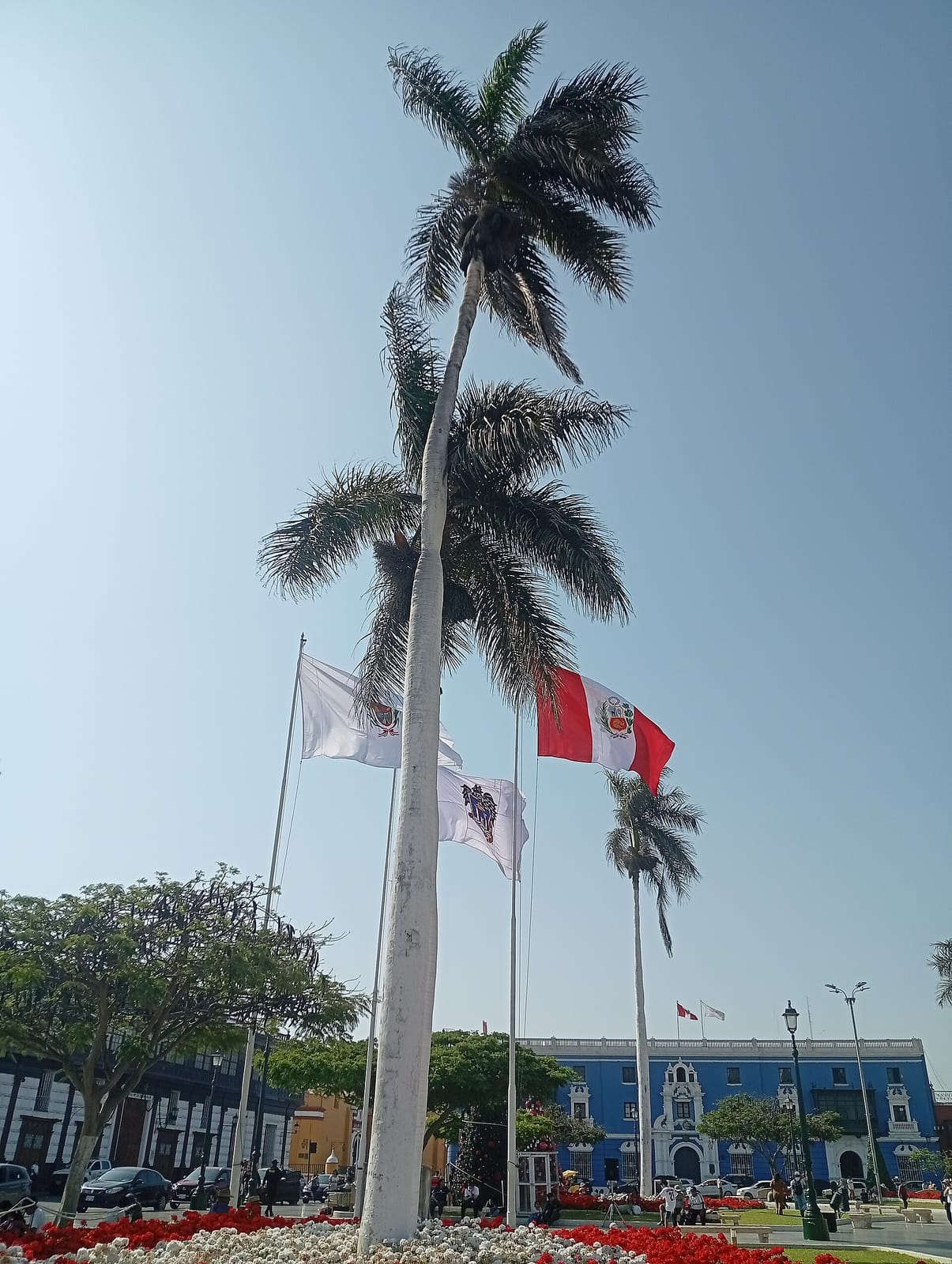 Salon de Te Santo Domingo photo 2