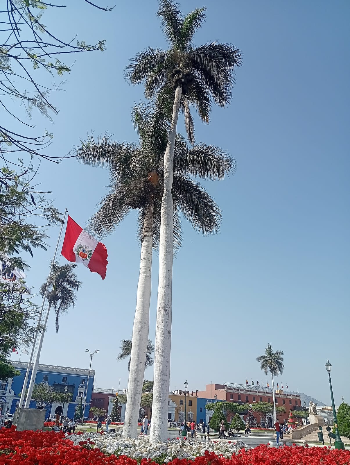 Salon de Te Santo Domingo photo 3