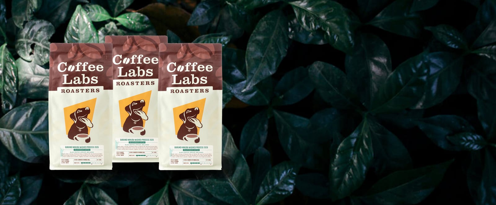 Coffee Labs photo 3