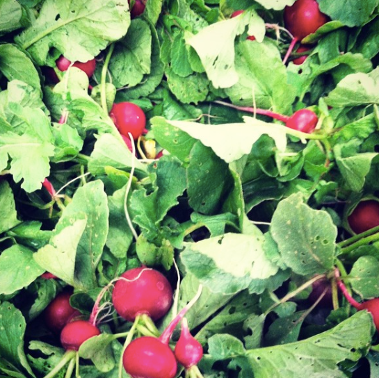 9 Mile East Farm photo 3
