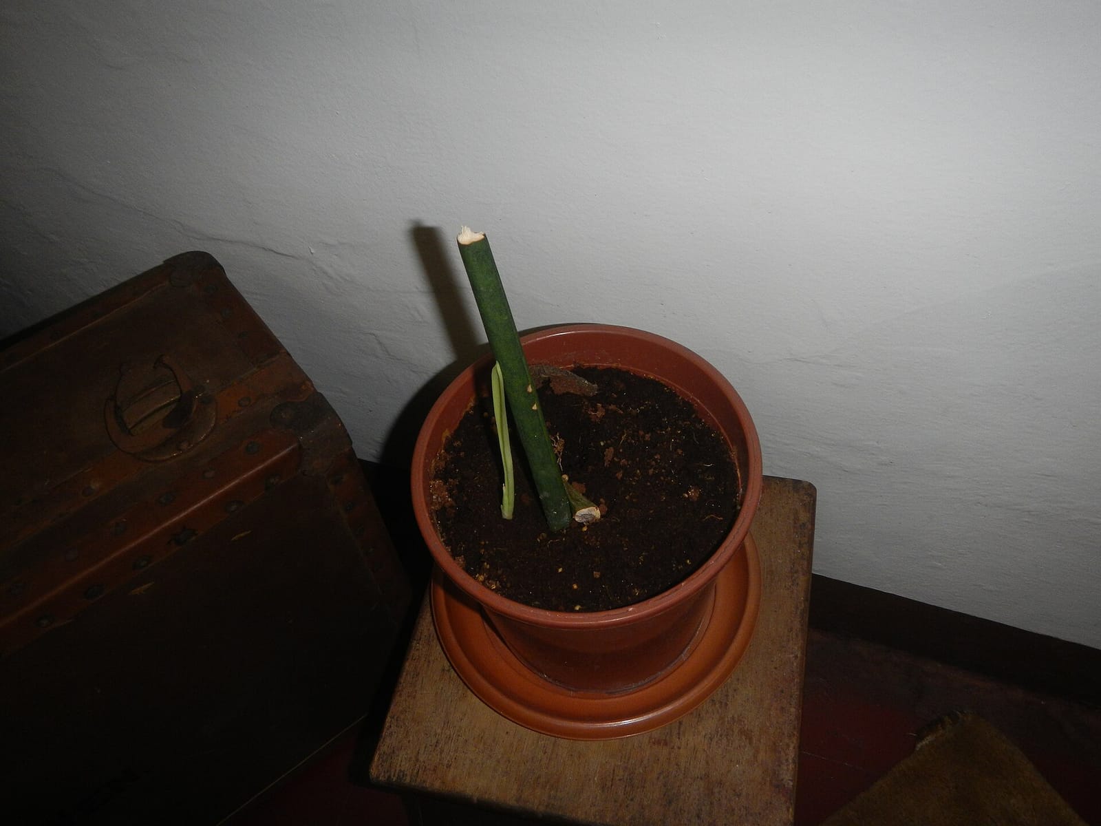 The Den photo 4