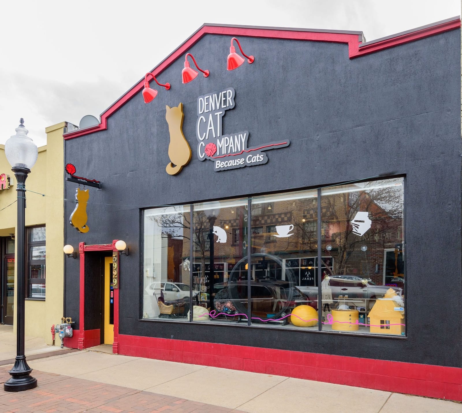 Denver Cat Company photo 2