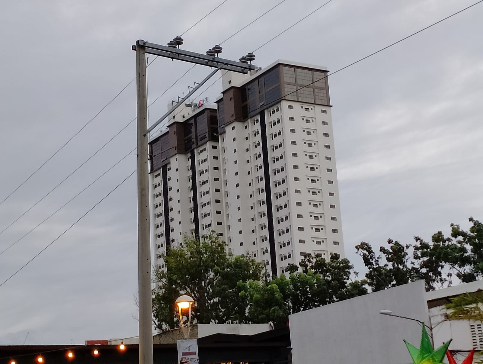 The Matcha Tokyo photo 2