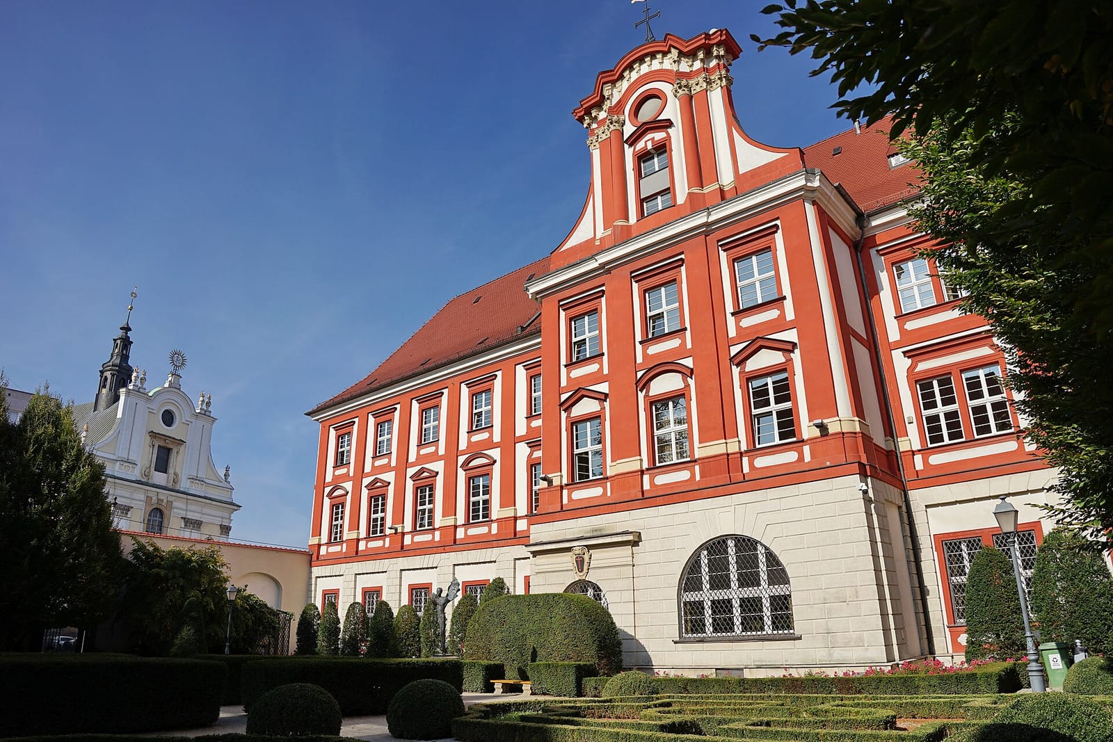 Cherubinowy Wędrowiec photo 2