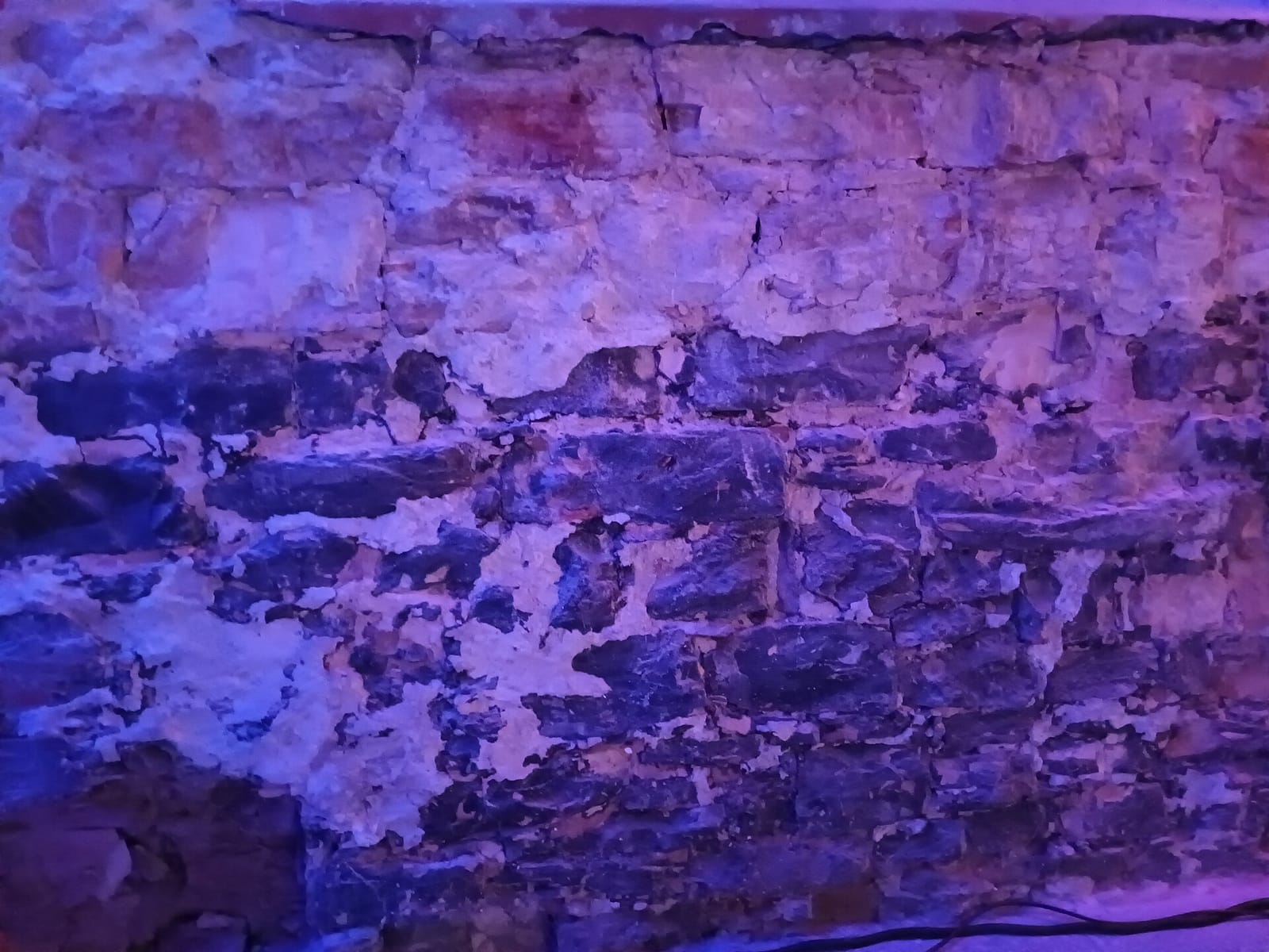 6na9 photo 4