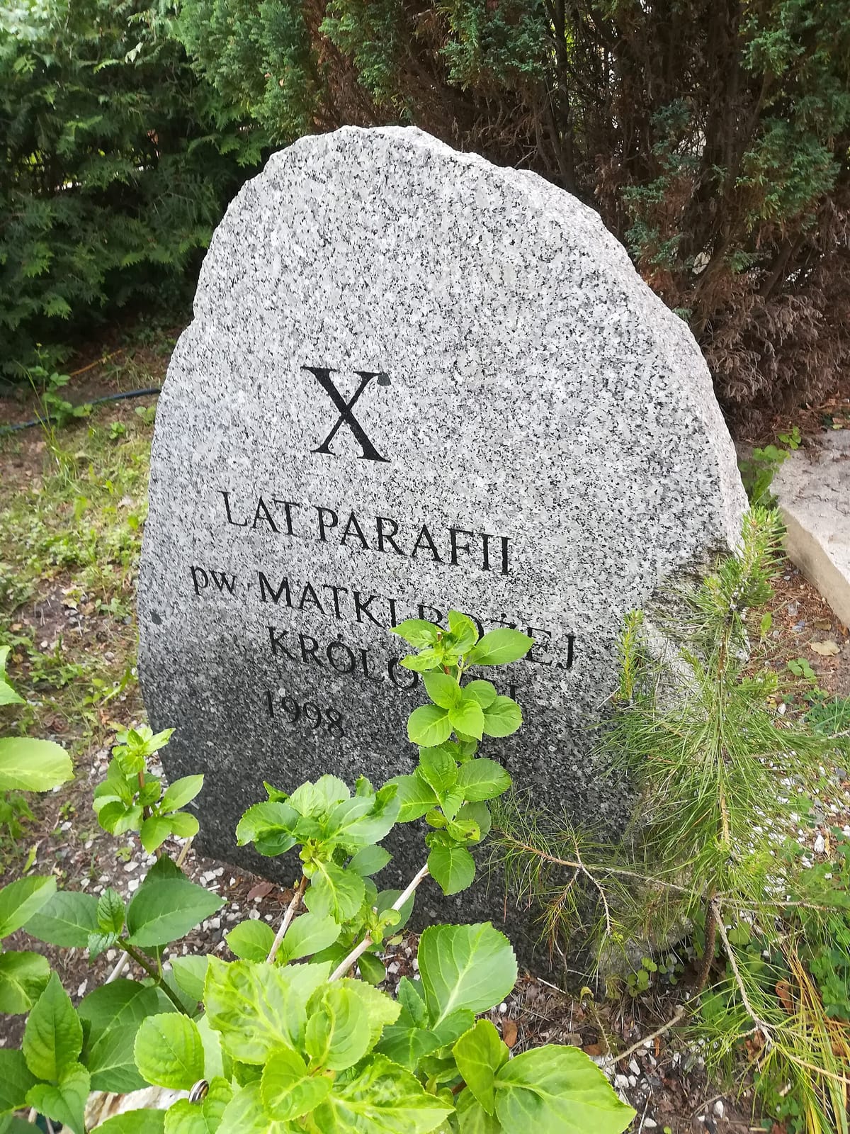 40-stka photo 2
