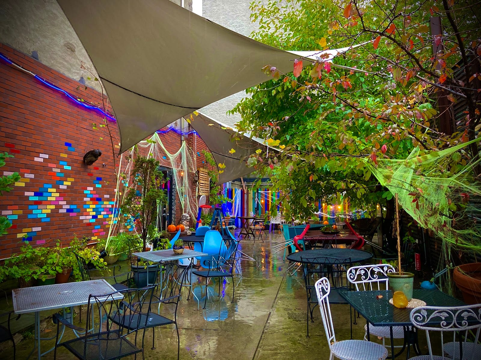 Art Cafe + Bar