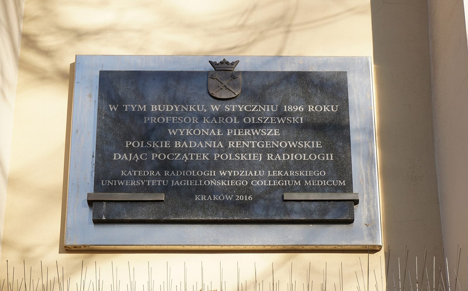 Nowa Prowincja photo 2