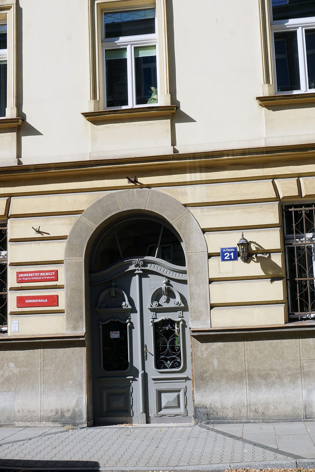 Pojnarówka