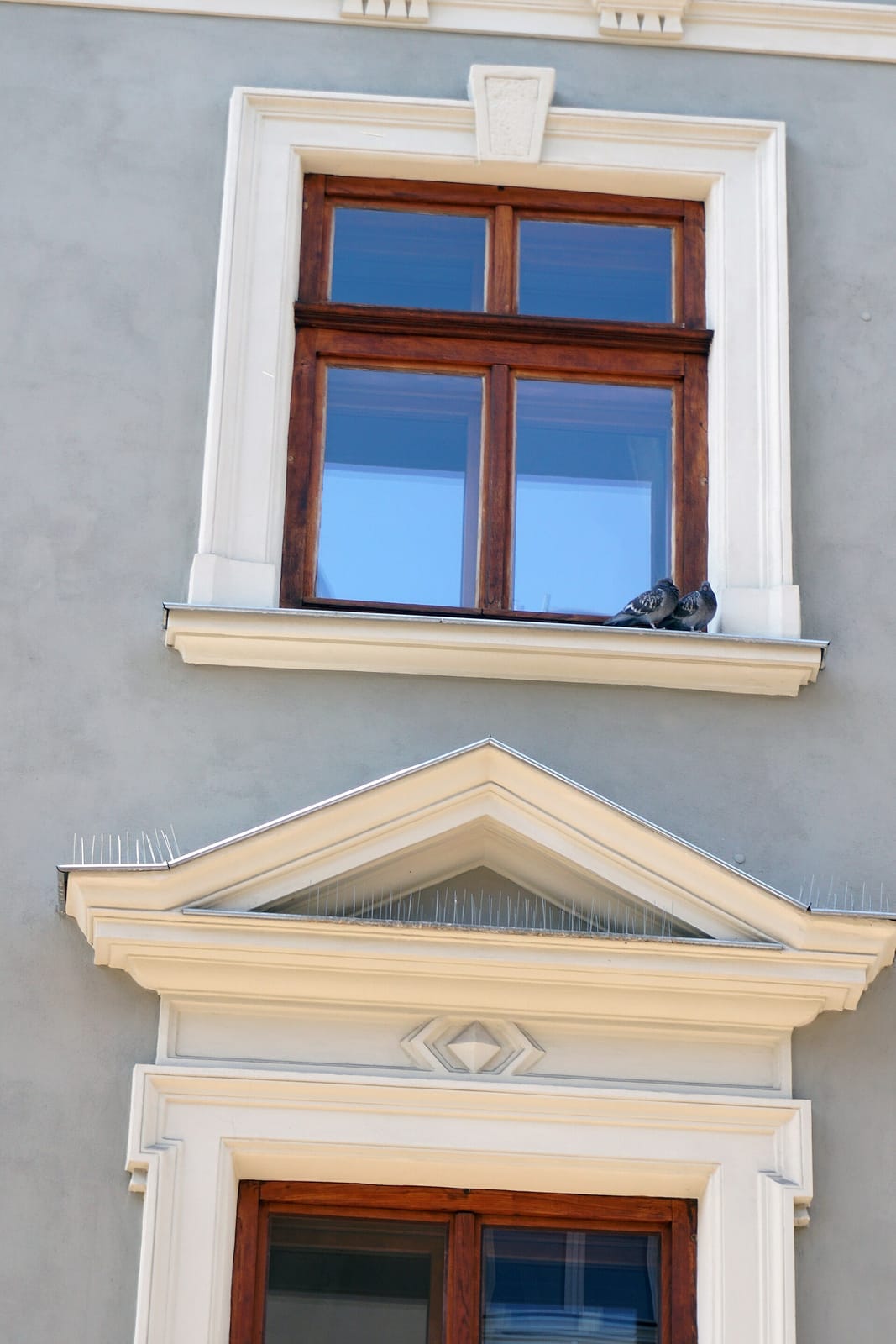 NIĆ. Kawiarnio-księgarnia photo 2