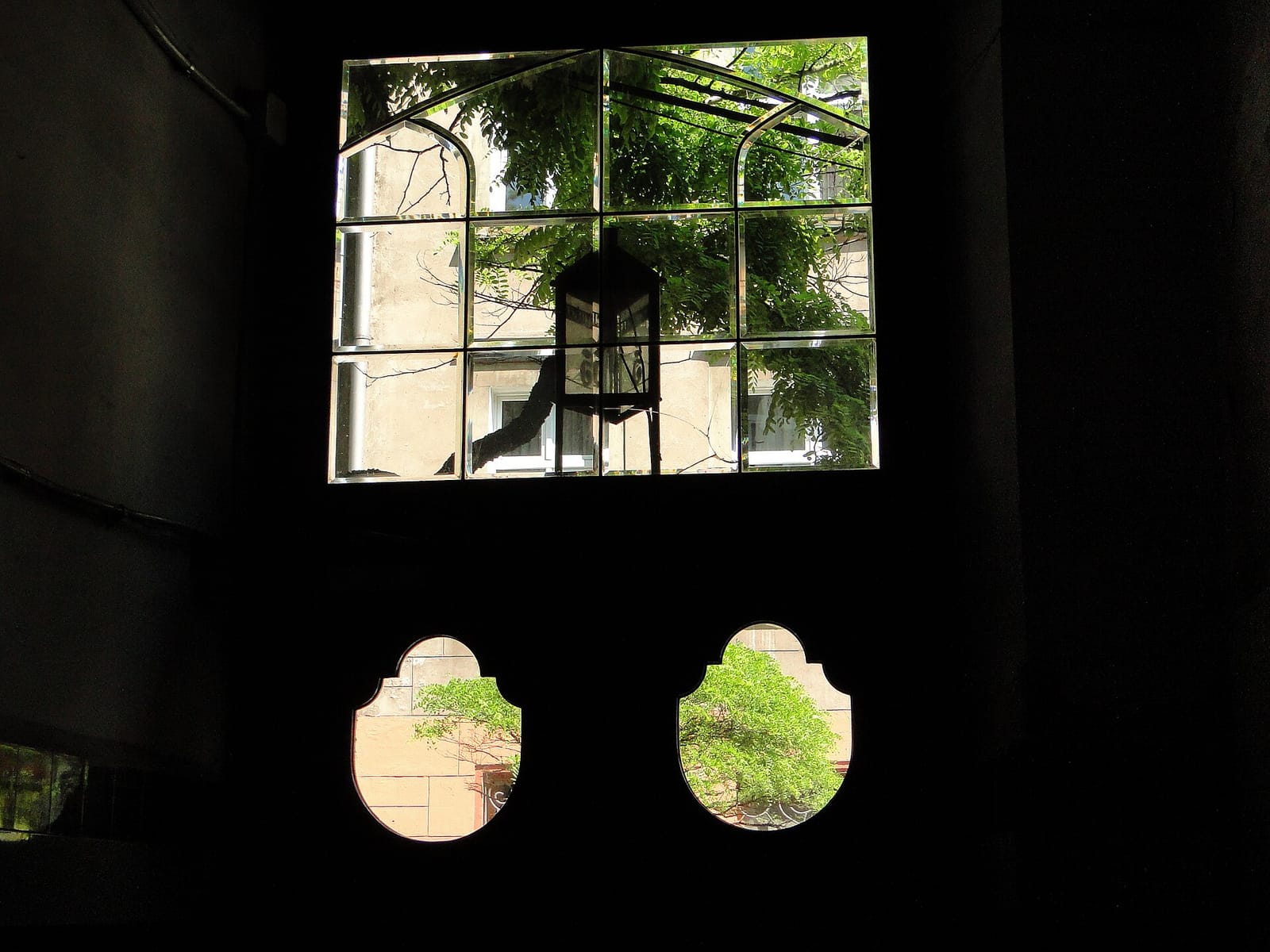Ranny Ptaszek photo 3