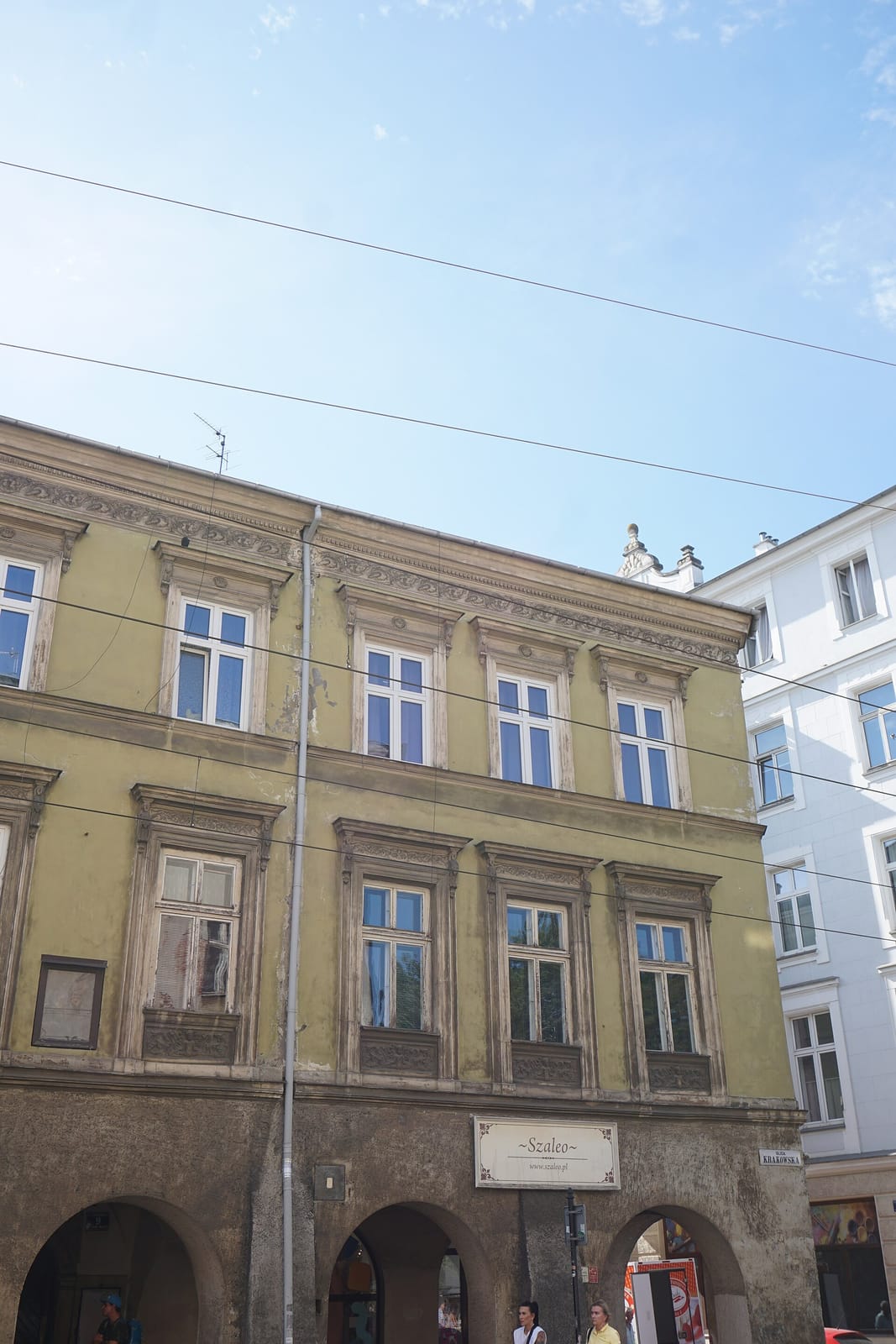 Zielony Talerz photo 3