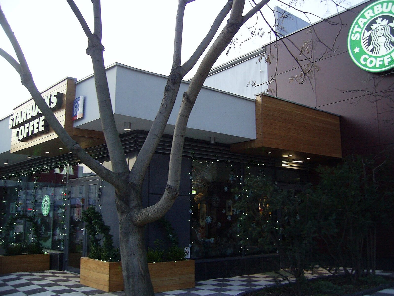 Starbucks photo 4