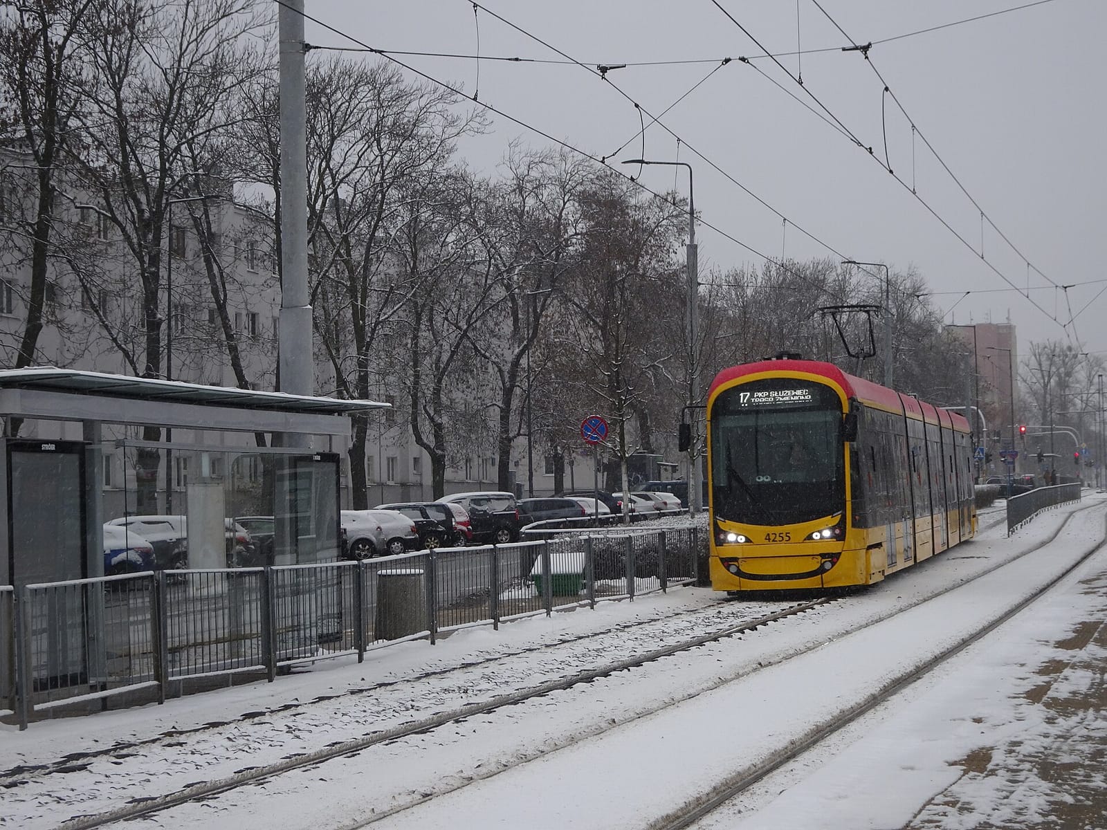Jaskółka photo 3