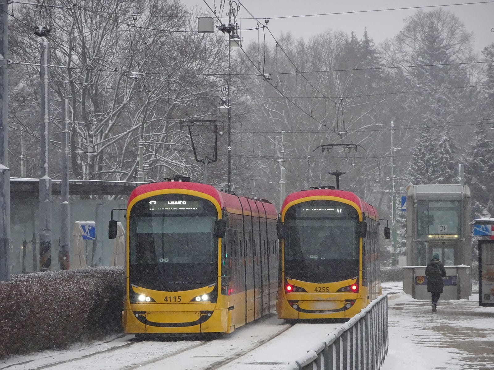 Jaskółka photo 4