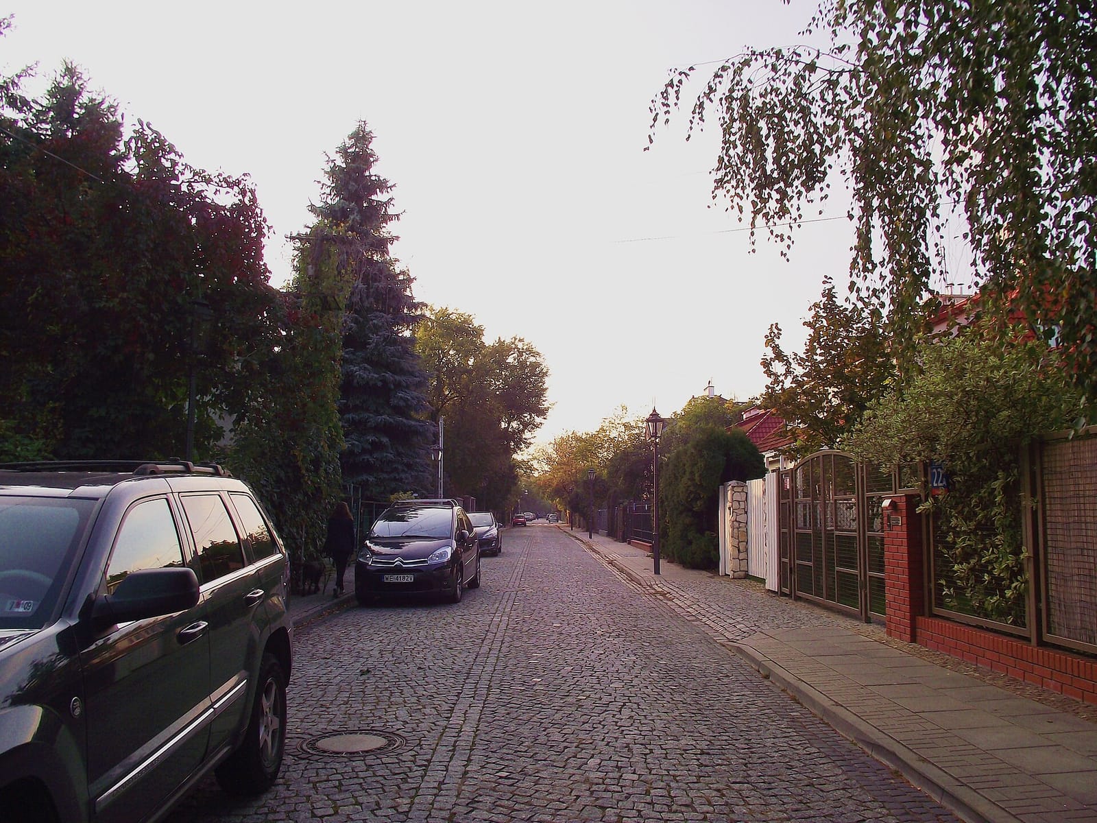 Szklarnia photo 2