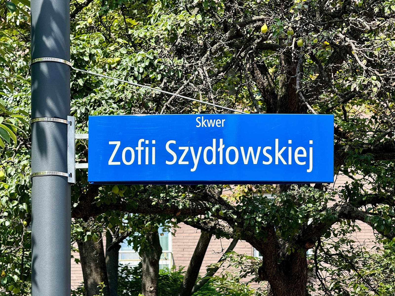 Pij Herbatę photo 4