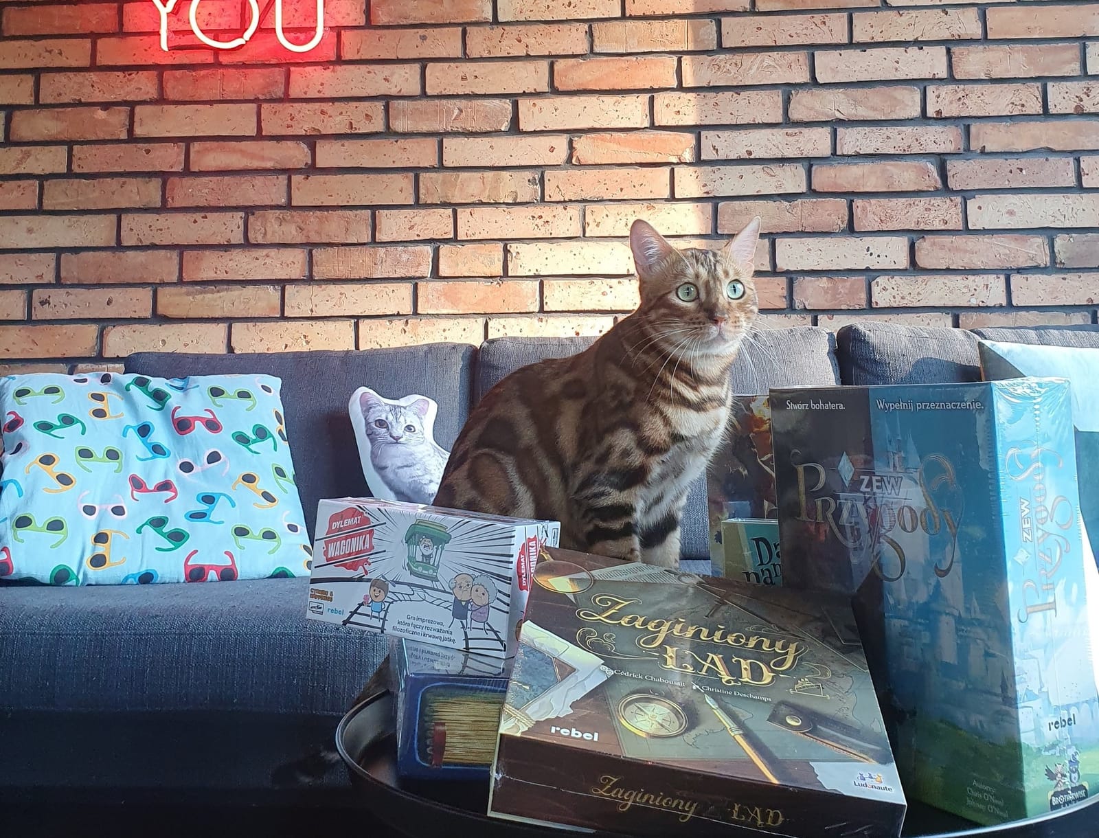 Miau Grau photo 3