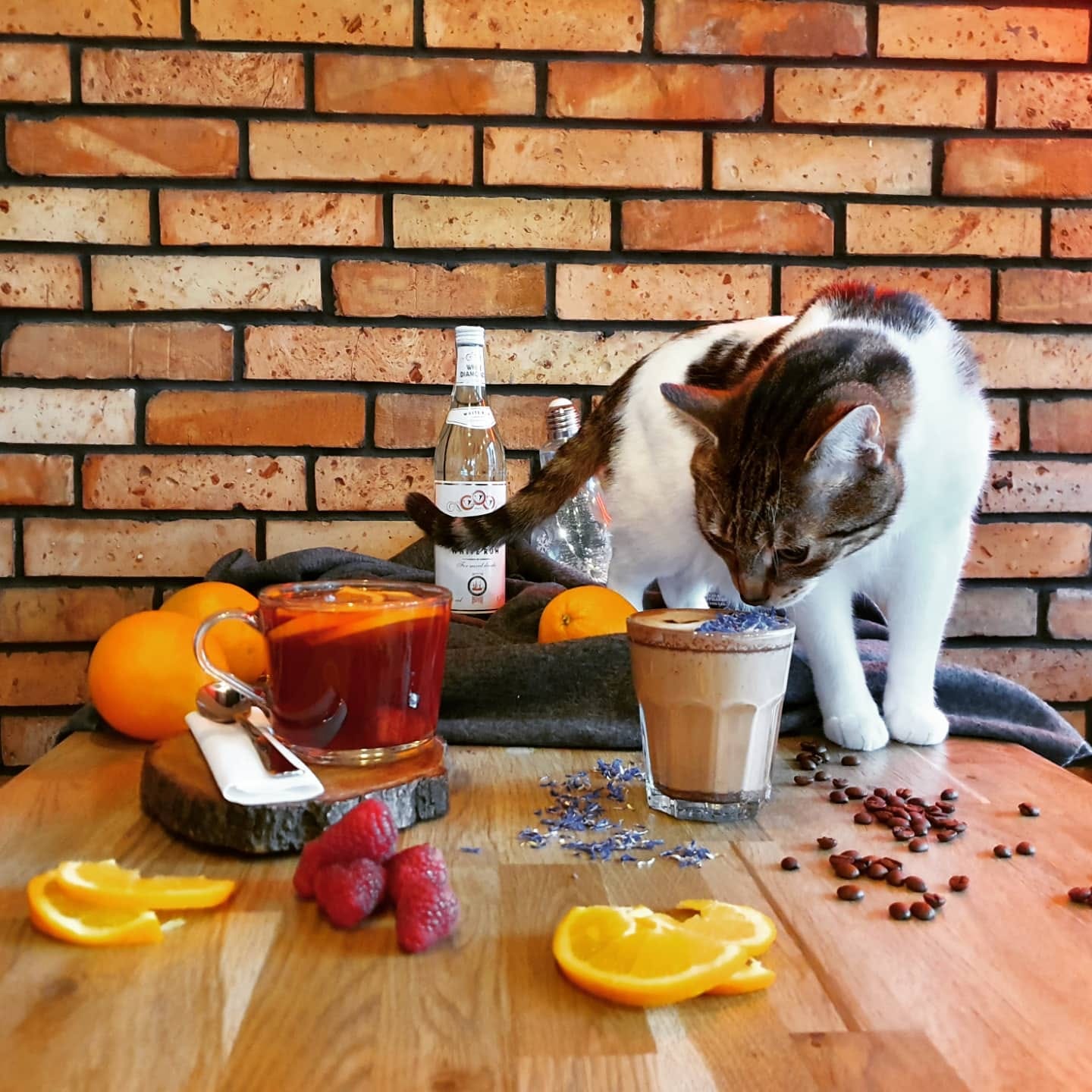 Miau Grau
