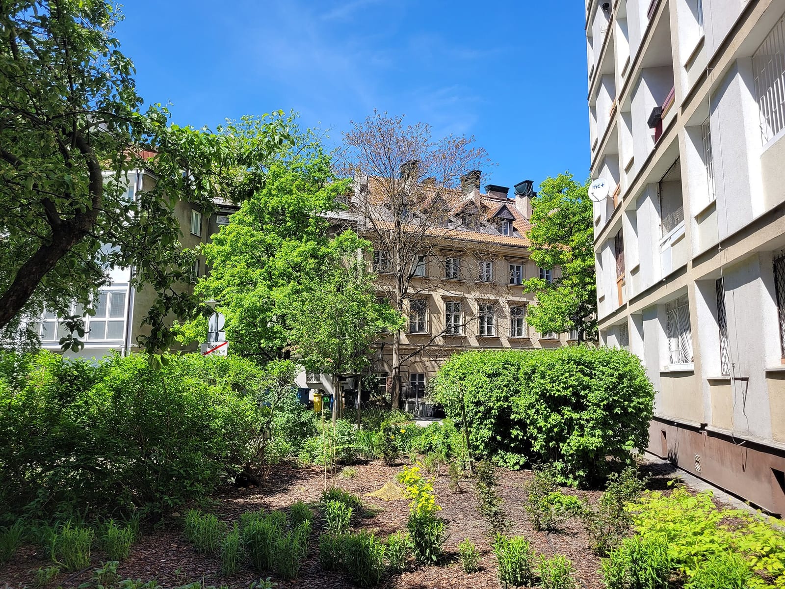 Soczyście Warszawa photo 3