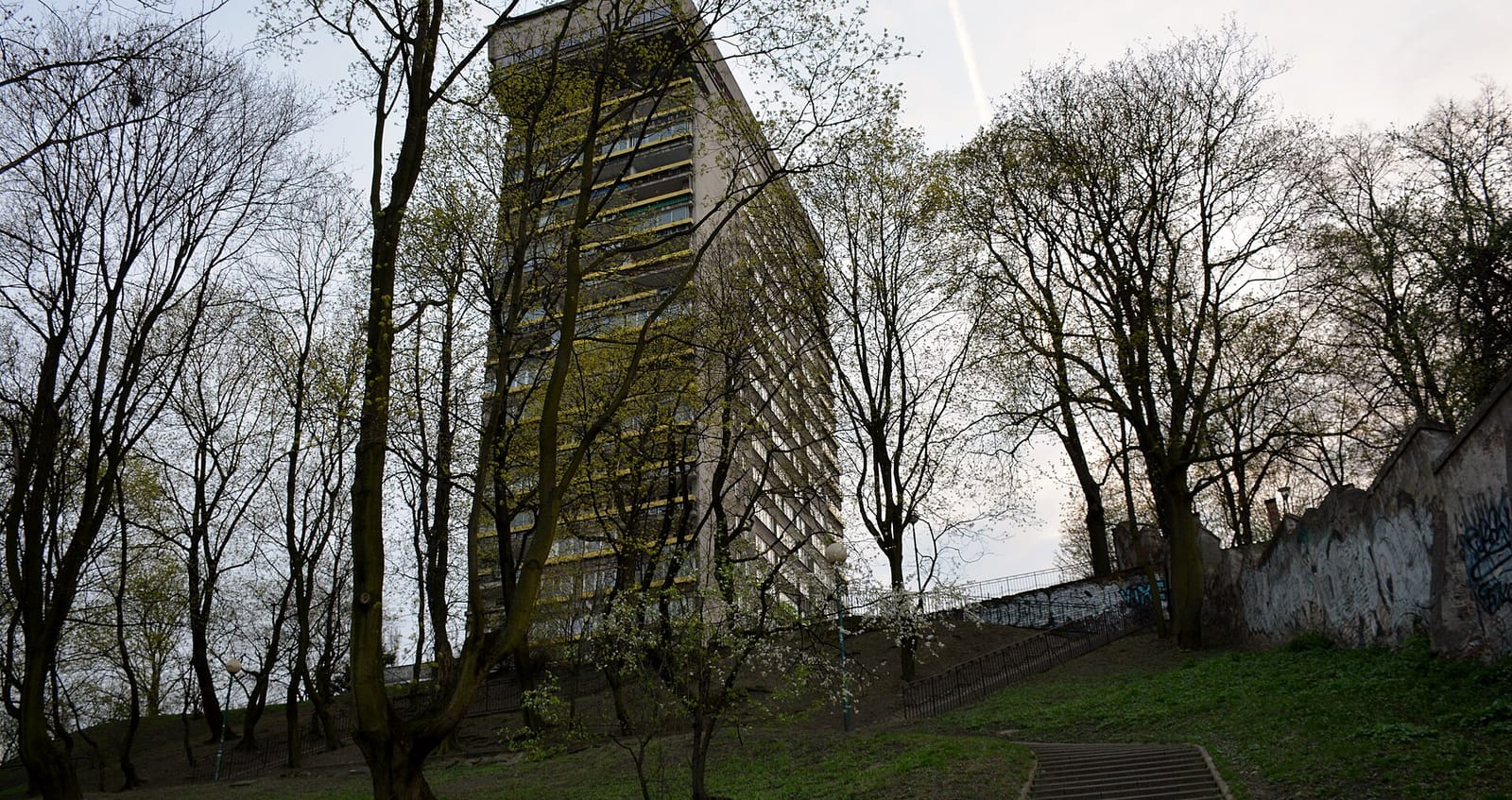 Muus photo 2
