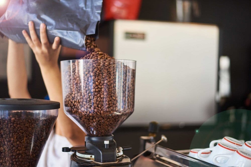 Gasoline Alley Coffee photo 6