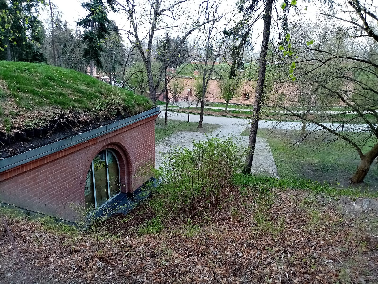 Kawka na ławkę photo 4
