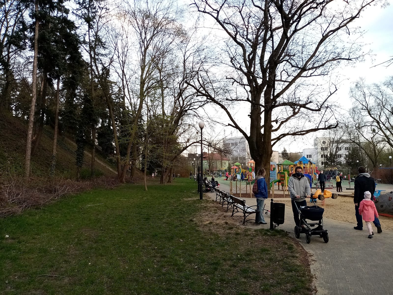 Kawka na ławkę photo 3