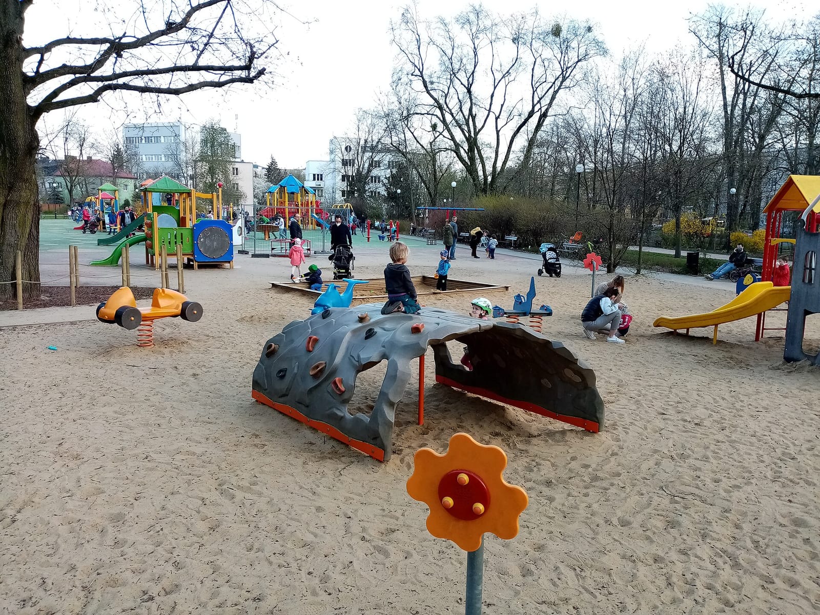 Kawka na ławkę photo 2