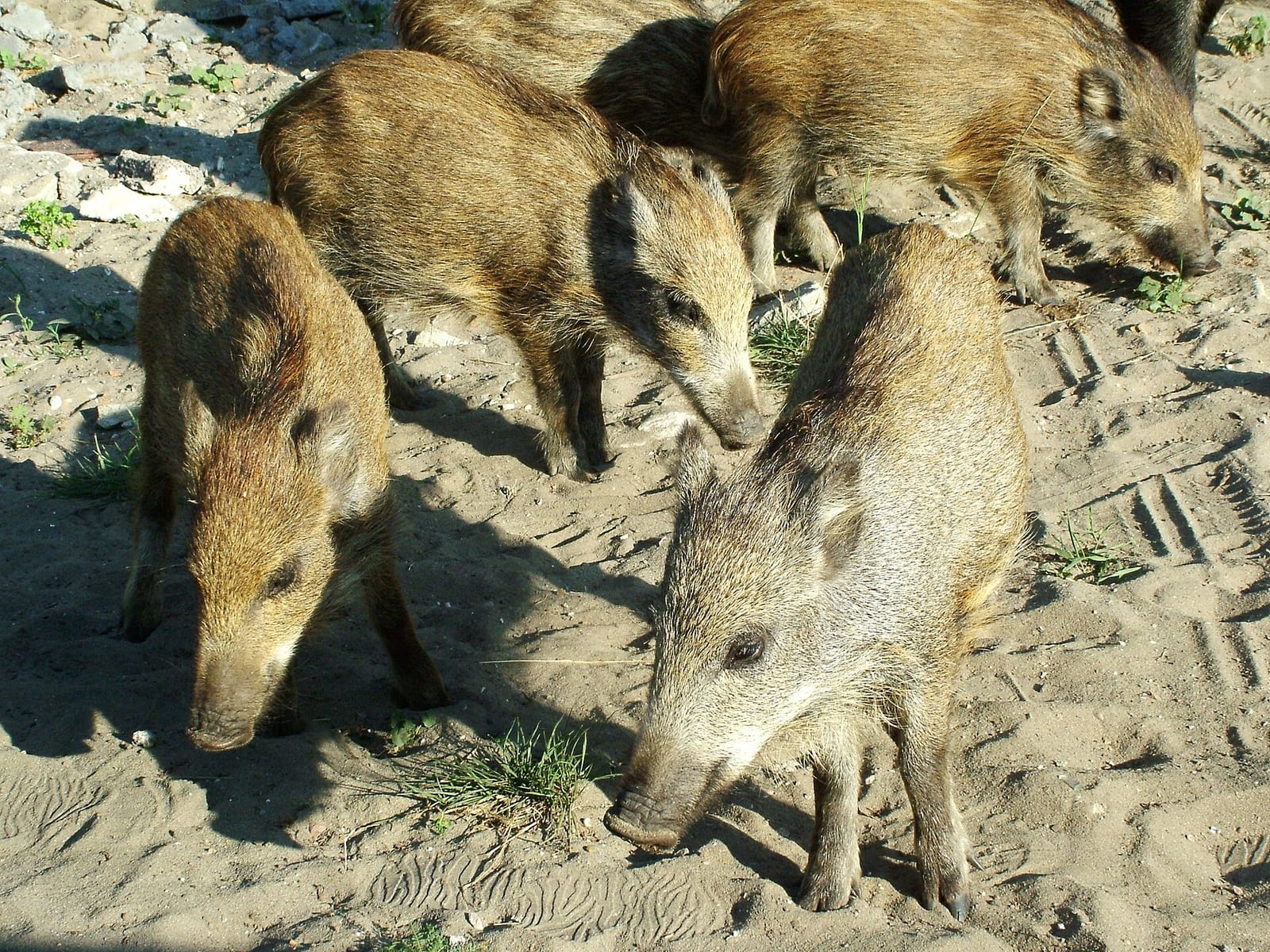 Kawiarnia Na Piaskach photo 2